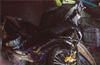 Pillion rider dies, bike hits stationary lorry